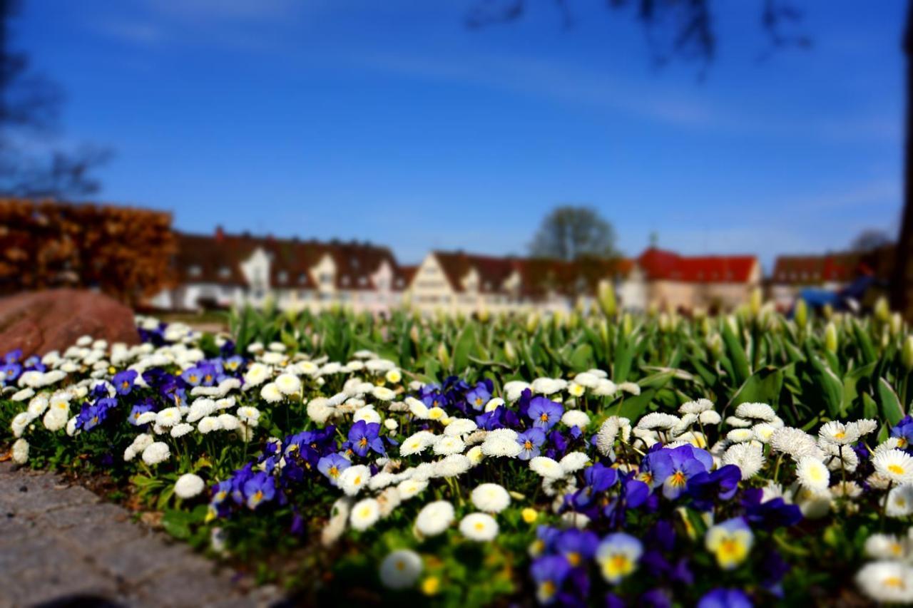 Fewo Schwarzwaldfreude Freudenstadt Buitenkant foto