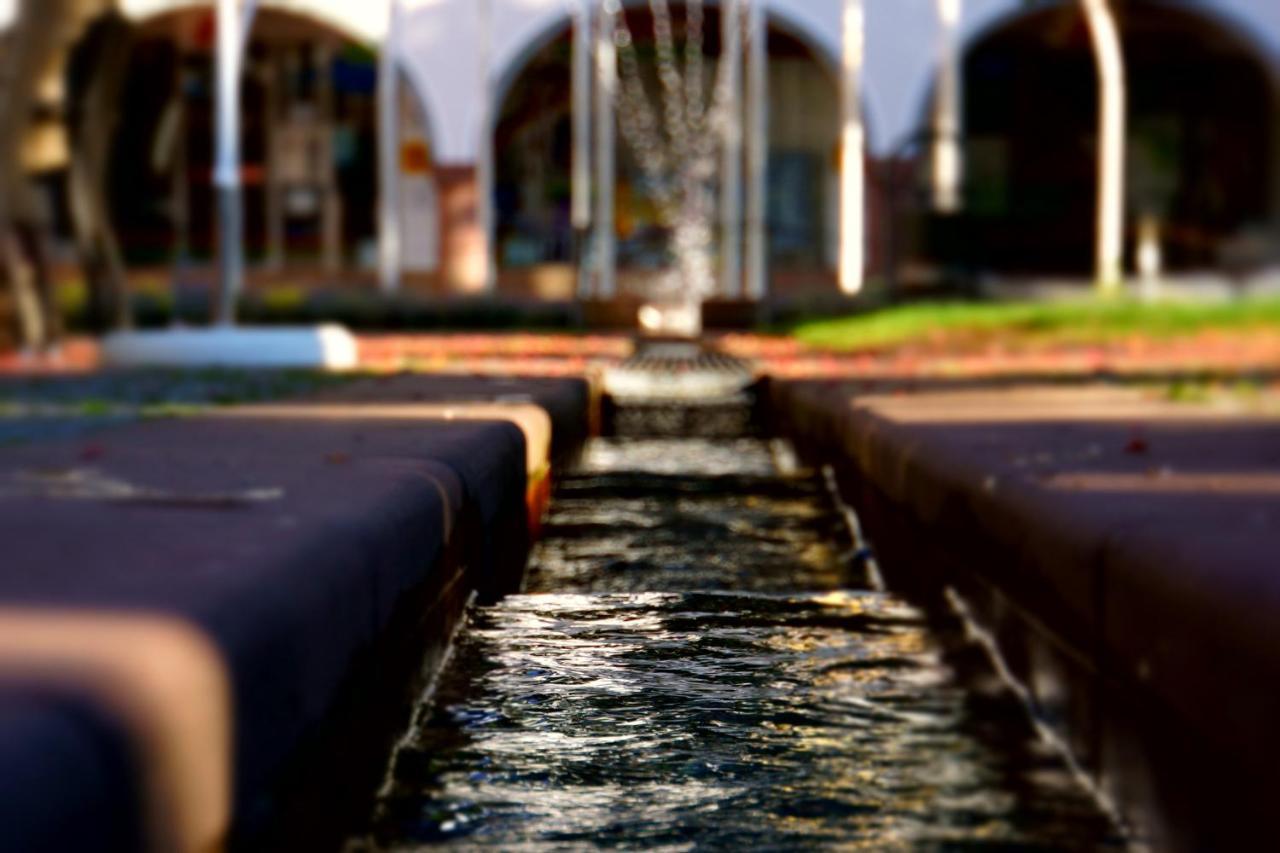 Fewo Schwarzwaldfreude Freudenstadt Buitenkant foto